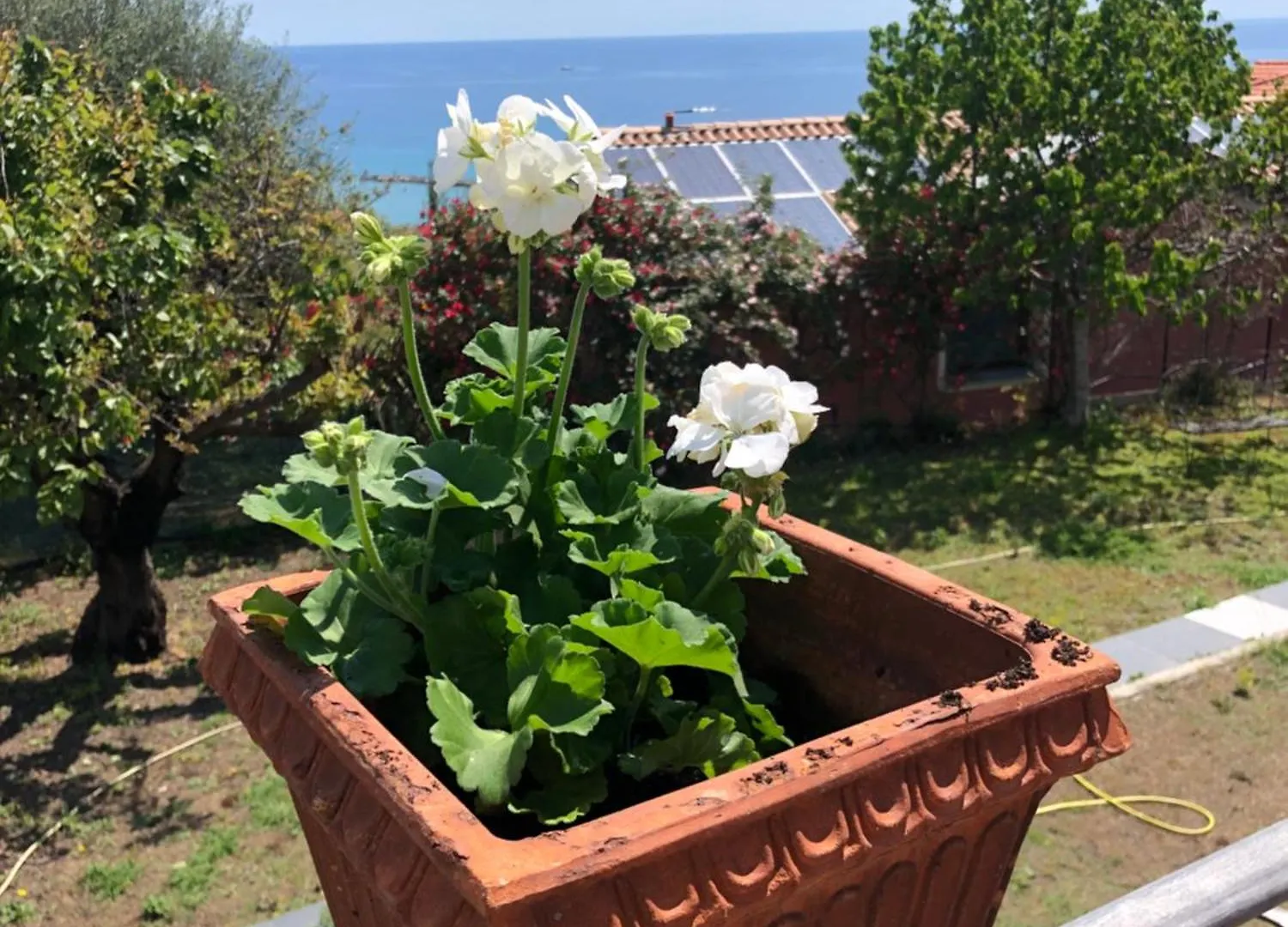 Dolcevita Guests Hotel Arma di Taggia